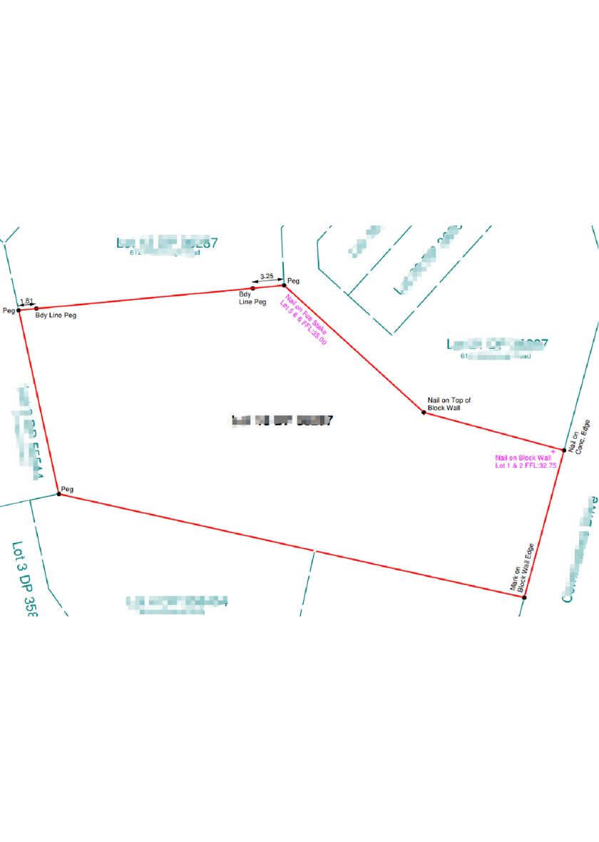 Boundary Survey service